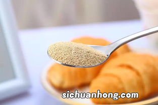 什么可以代替酵母发酵