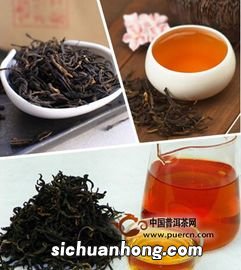 野生红茶的特点是什么意思