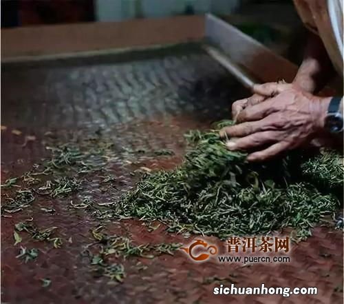 什么茶没有揉捻工序