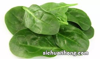 沙拉中长豆角叫什么意思