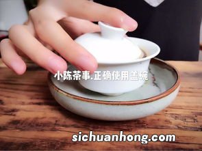 紫砂盖碗泡什么茶叶好