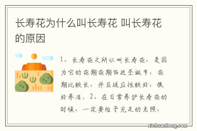 长寿花为什么叫长寿花 叫长寿花的原因