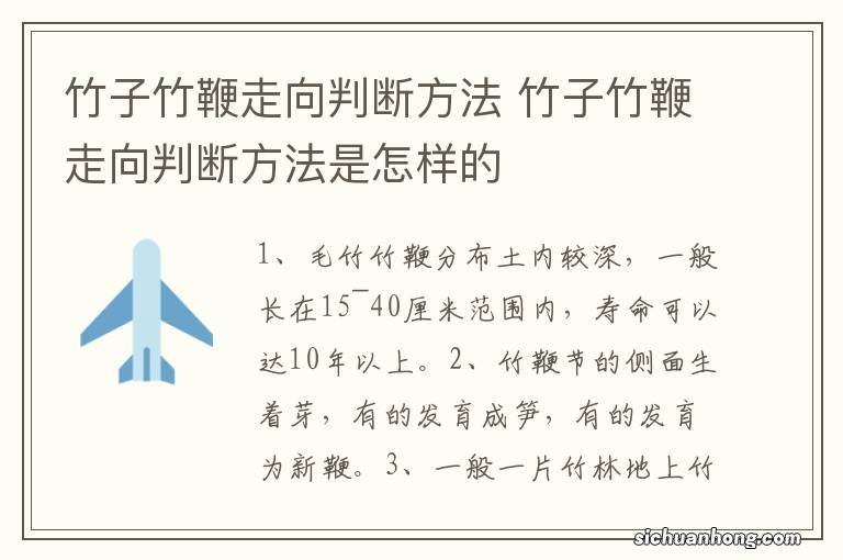 竹子竹鞭走向判断方法 竹子竹鞭走向判断方法是怎样的