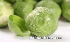 怎么切洋白菜