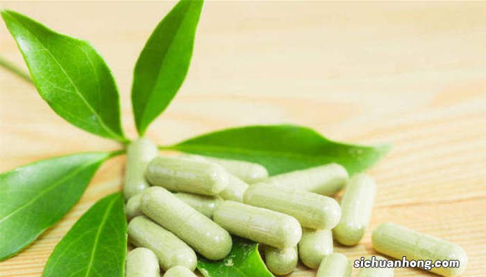 鸭掌木的养殖方法和注意事项及病虫害防治 鸭掌木的养殖方法和注意事项