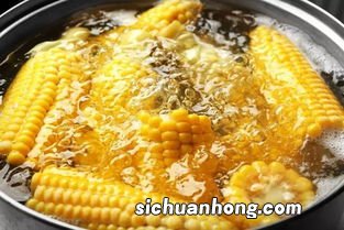 冷冻玉米要煮多久能熟