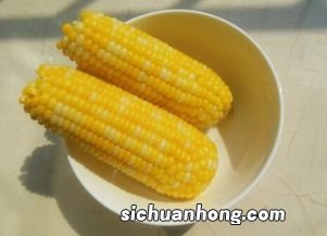 冷冻玉米要煮多久能熟