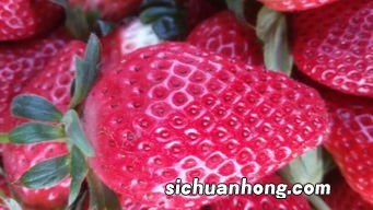 怎么判断草莓染色