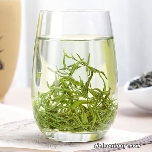 毛尖什么季节喝比较好