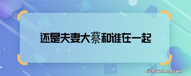 还是夫妻大蔡和谁在一起 还是夫妻大蔡结局是什么