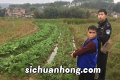 吃鸡蛋有什么禁忌要注意？怎样吃鸡蛋更健康？