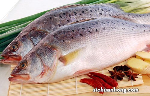 鲈鱼的食物是什么