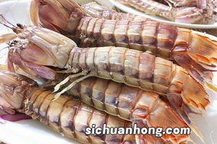 怎么快速吃皮皮虾视频教程