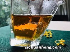 什么茶用一沸水泡