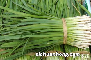 韭菜什么营养含量最高