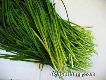 韭菜什么营养含量最高