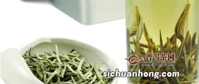 福建政和白茶属什么茶