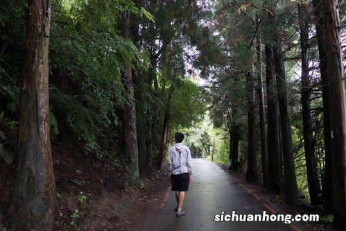 为什么高山比平地更容易下雨