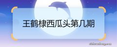 王鹤棣西瓜头第几期 王鹤棣西瓜头是第几期节目