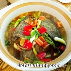 甲鱼汤炖什么好吃