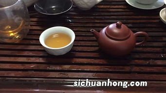 普洱泡茶用什么壶最好