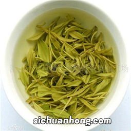 天目湖茶叶属于什么茶