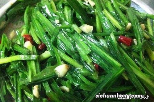 怀孕前期的什么菜好