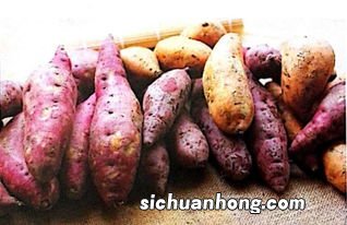 红薯有什么相克的