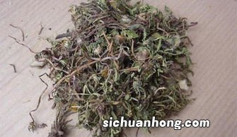 喝雪里红水有什么好处