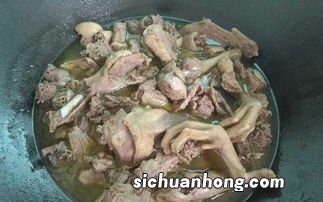 炖鸭子需要多久