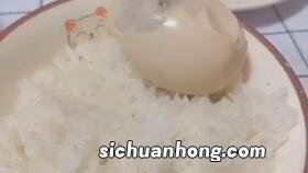 海鸭蛋不能和什么吃