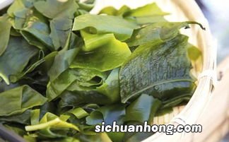 海带含什么维生素