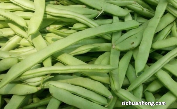 哪些食物会导致食物中毒?吃什么蔬菜要小心中毒?