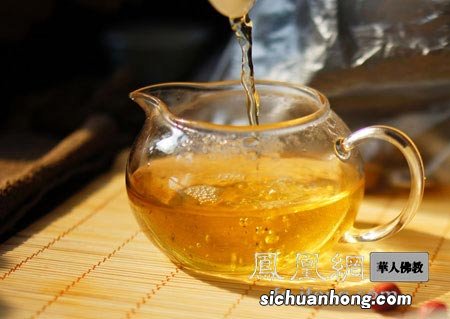 什么茶富含维生素多