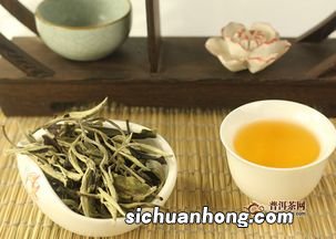 老白茶产于什么地方
