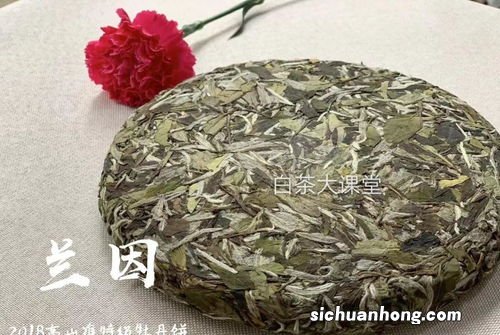 老白茶产于什么地方