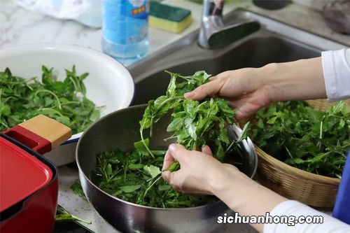 谷雨节气能种什么菜