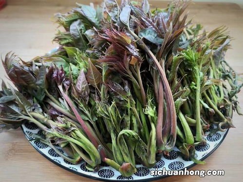 谷雨过后种什么菜