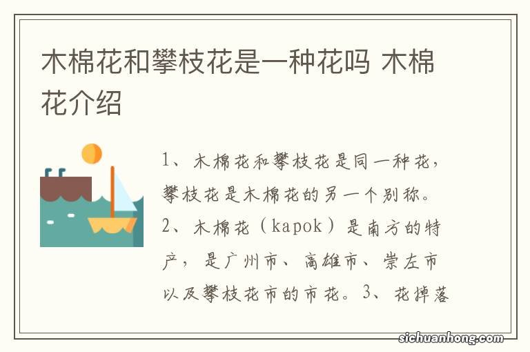 木棉花和攀枝花是一种花吗 木棉花介绍