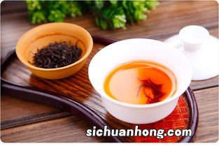 泡红茶用什么茶具有哪些