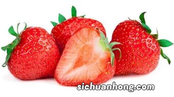 草莓泡酒的保质期多久