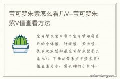 宝可梦朱紫怎么看几V-宝可梦朱紫V值查看方法