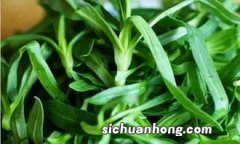 抽烟咳嗽吃什么野菜好