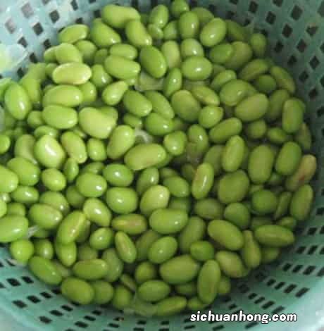 煮花生毛豆要多久才熟