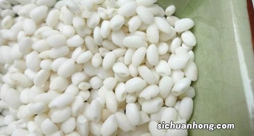 吃什么可以补中气