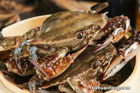 蒸梭子蟹水开后蒸多久