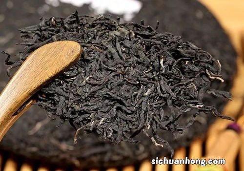 普洱吃纸的虫件什么意思