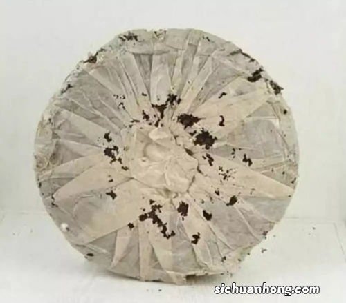 普洱吃纸的虫件什么意思