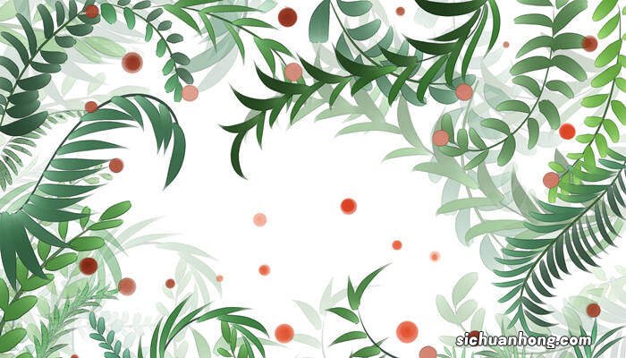 散尾葵的养殖方法和注意事项 盆栽 散尾葵的养殖方法和注意事项