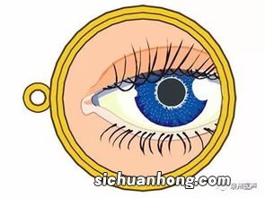 白内障日常吃什么好